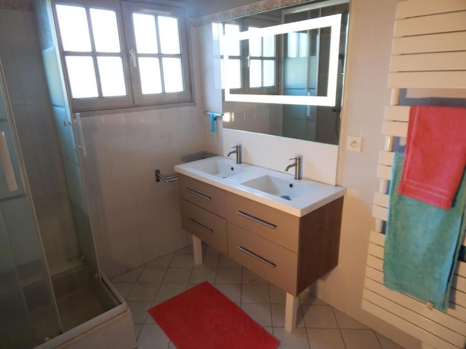 St Malo Maison Avec Jardin Proche Gare Plage Intramuros Chien Admis Parking Gratuit Saint-Malo Buitenkant foto
